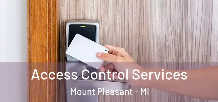 Access Control Services Mount Pleasant - MI
