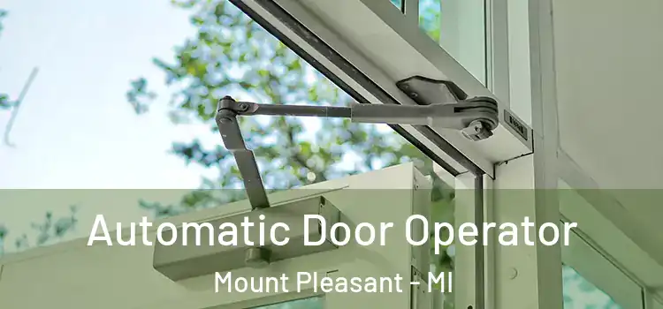 Automatic Door Operator Mount Pleasant - MI