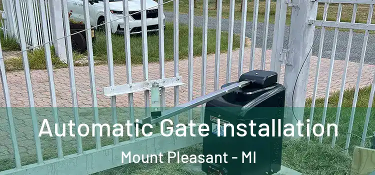 Automatic Gate Installation Mount Pleasant - MI