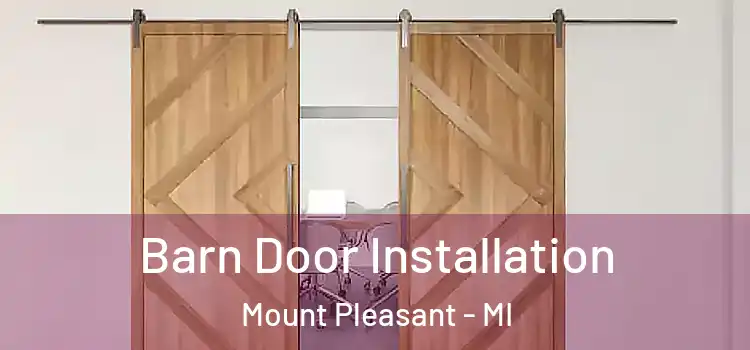 Barn Door Installation Mount Pleasant - MI