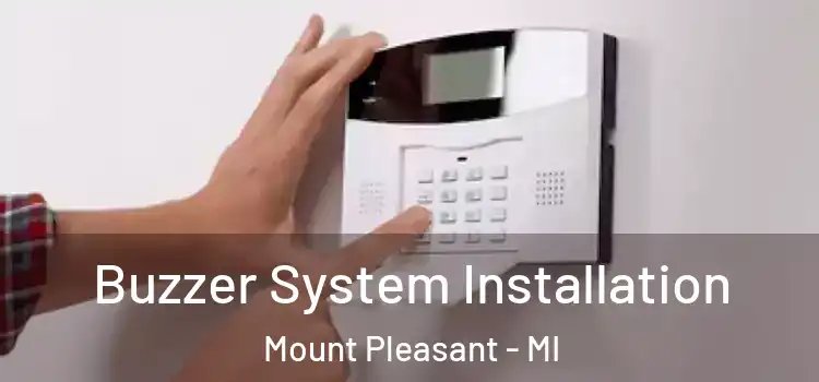 Buzzer System Installation Mount Pleasant - MI