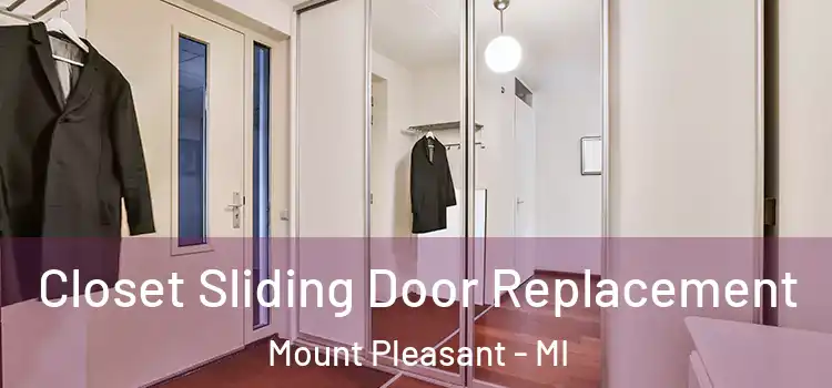 Closet Sliding Door Replacement Mount Pleasant - MI
