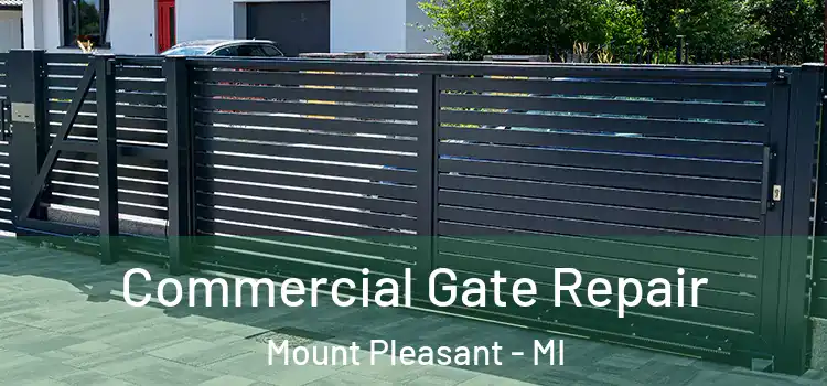 Commercial Gate Repair Mount Pleasant - MI