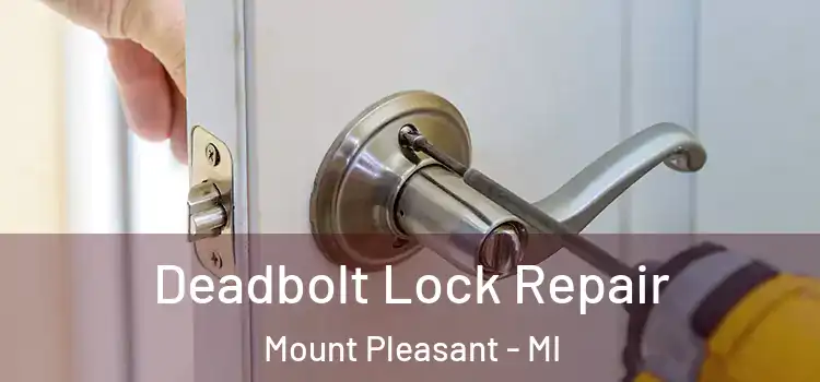 Deadbolt Lock Repair Mount Pleasant - MI