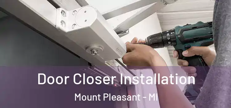 Door Closer Installation Mount Pleasant - MI