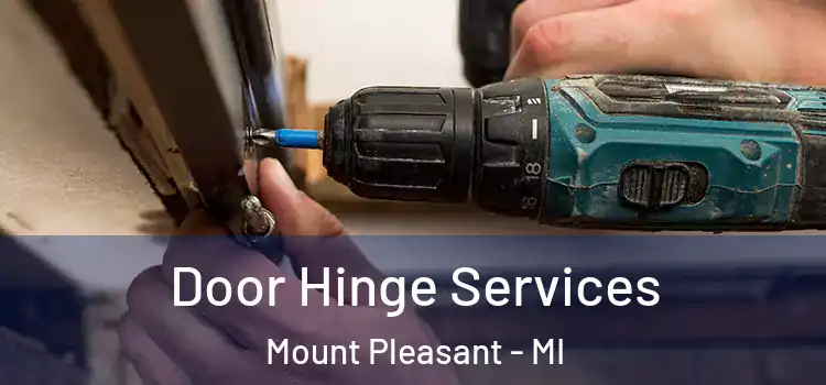 Door Hinge Services Mount Pleasant - MI