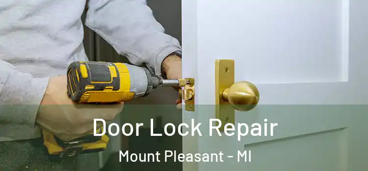 Door Lock Repair Mount Pleasant - MI