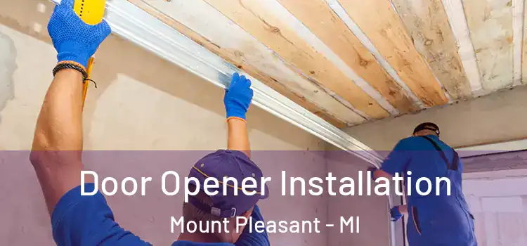 Door Opener Installation Mount Pleasant - MI