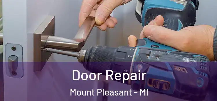 Door Repair Mount Pleasant - MI