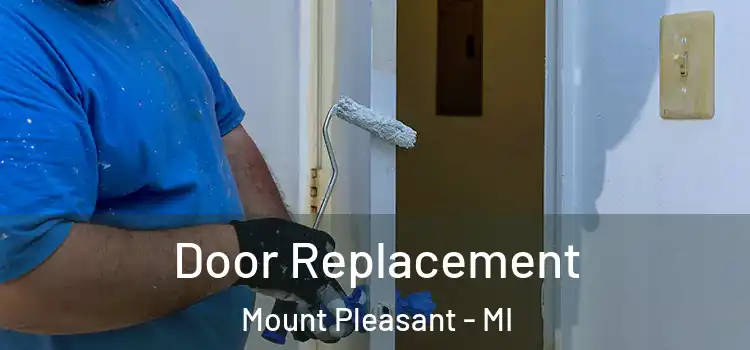 Door Replacement Mount Pleasant - MI