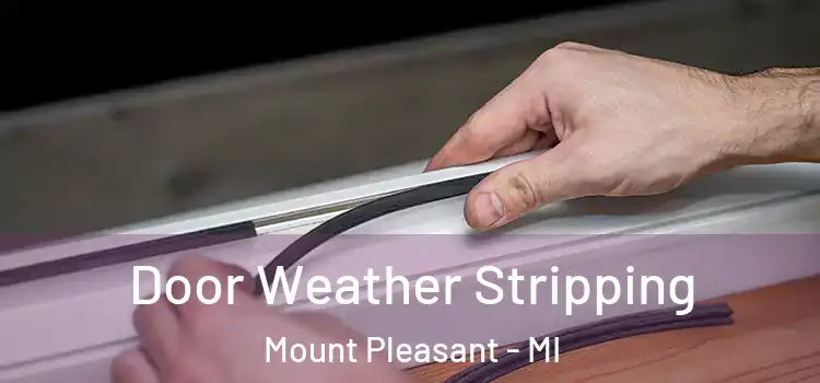 Door Weather Stripping Mount Pleasant - MI