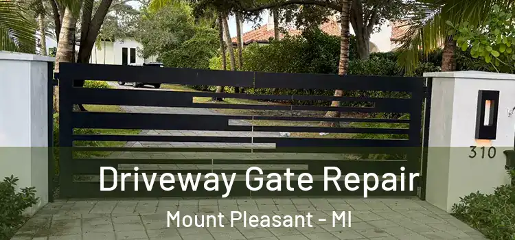 Driveway Gate Repair Mount Pleasant - MI
