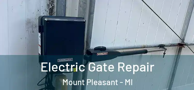 Electric Gate Repair Mount Pleasant - MI