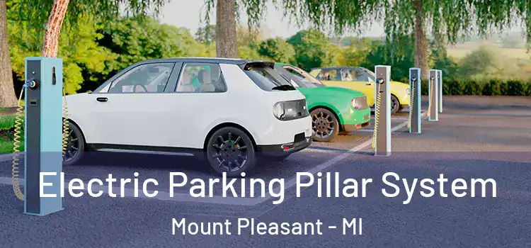 Electric Parking Pillar System Mount Pleasant - MI