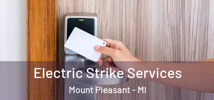 Electric Strike Services Mount Pleasant - MI
