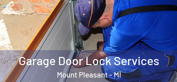 Garage Door Lock Services Mount Pleasant - MI
