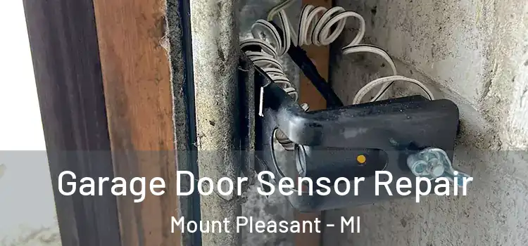 Garage Door Sensor Repair Mount Pleasant - MI
