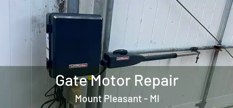 Gate Motor Repair Mount Pleasant - MI