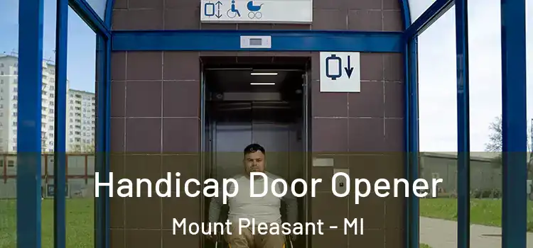 Handicap Door Opener Mount Pleasant - MI