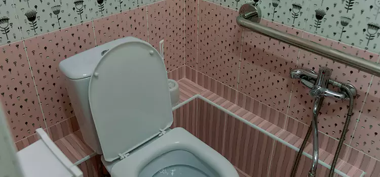 Meeting Diverse Needs With Accessible Restroom Solutions in Mount Pleasant, MI