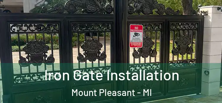 Iron Gate Installation Mount Pleasant - MI