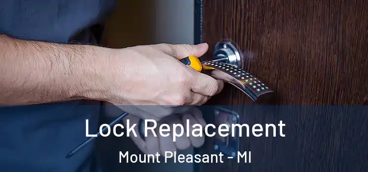 Lock Replacement Mount Pleasant - MI