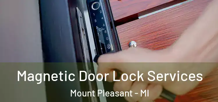 Magnetic Door Lock Services Mount Pleasant - MI