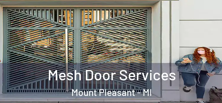 Mesh Door Services Mount Pleasant - MI