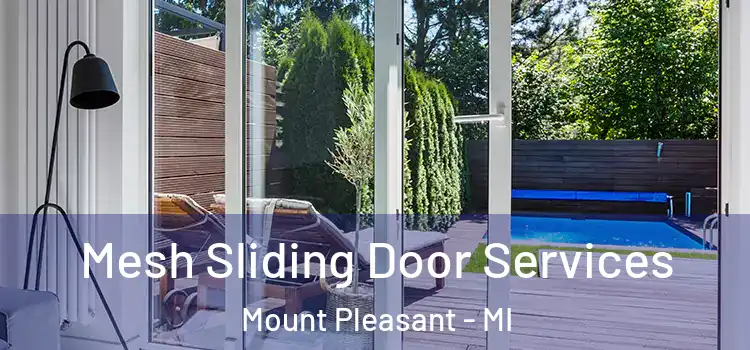Mesh Sliding Door Services Mount Pleasant - MI