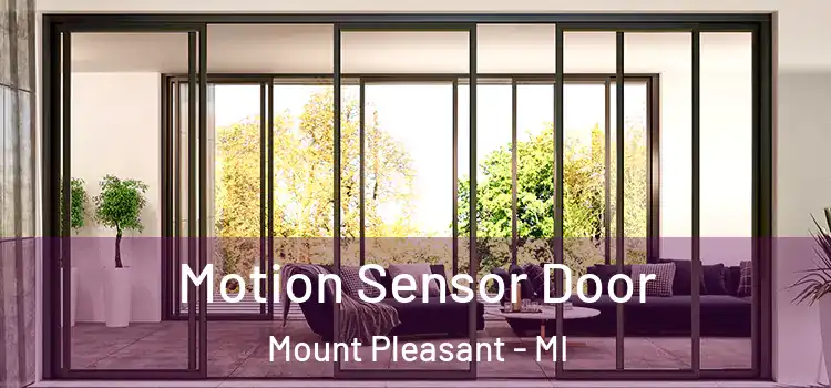 Motion Sensor Door Mount Pleasant - MI