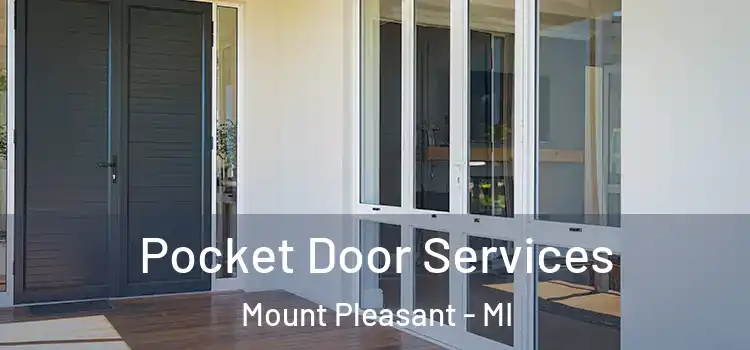 Pocket Door Services Mount Pleasant - MI