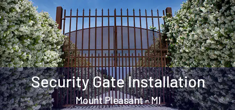 Security Gate Installation Mount Pleasant - MI