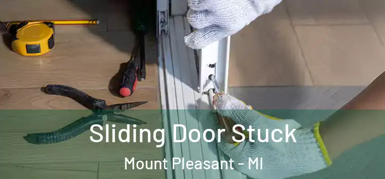Sliding Door Stuck Mount Pleasant - MI