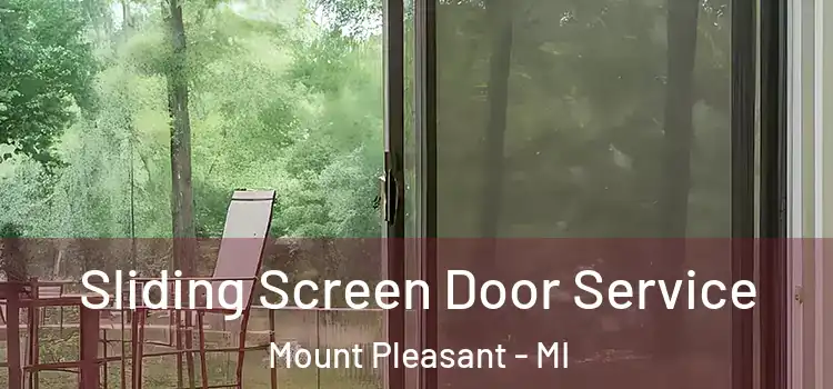 Sliding Screen Door Service Mount Pleasant - MI