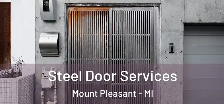 Steel Door Services Mount Pleasant - MI