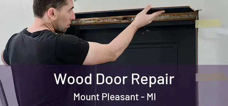 Wood Door Repair Mount Pleasant - MI