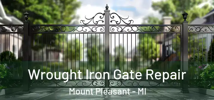 Wrought Iron Gate Repair Mount Pleasant - MI